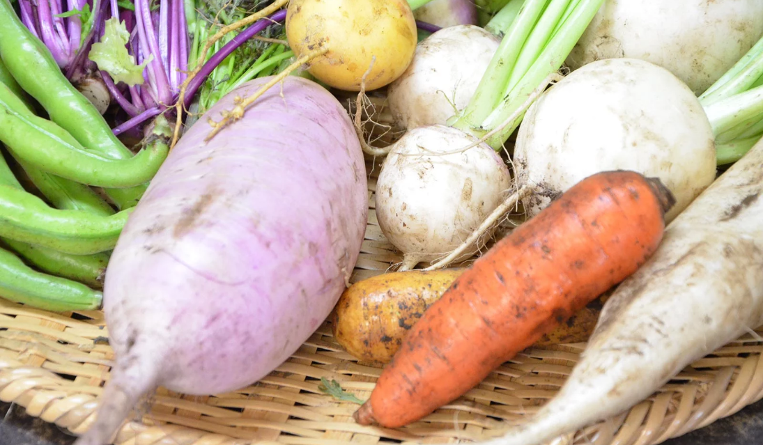 食育・栄養サポート｜虫歯を防ぎながら健康な成長をサポート